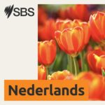 SBS Dutch – SBS Nederlands
